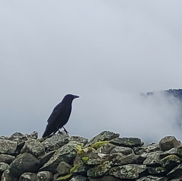 Meet your Posher, KD - Picture 2 of 3